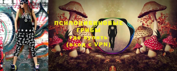 apvp Володарск