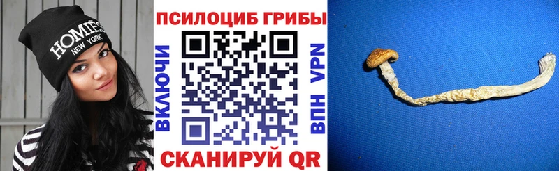 Псилоцибиновые грибы MAGIC MUSHROOMS  Мариинск 